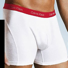 Boxer Brief Pro Stretch